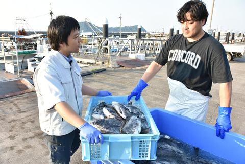 【前浜もんいただきます】クロダイ消費拡大へ　岡山県漁連