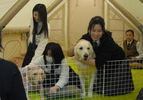 スクールドッグ普及へ　岡山県西粟倉村の青木さん　居心地よい場広めたい