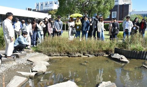 アユモドキ保護活動学ぶ　韓国・世宗市の関係者が人工池視察