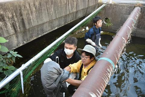 海ごみ問題解決へ用水路のごみ回収・調査　岡山科技専が社会実験 １１月にシンポで発表