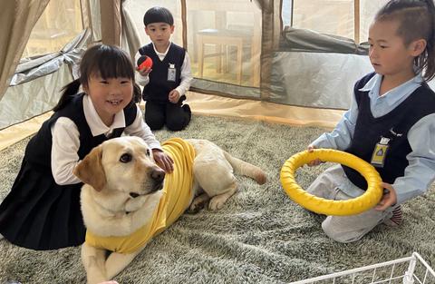 スクールドッグ広がる岡山県内　２６年度小中各１校導入、居心地よい学校に