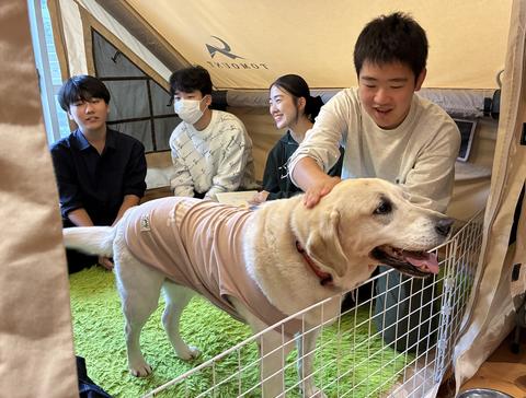 吉備の環アクション　スクールドッグ活動支援　岡山高生有志が現場体験